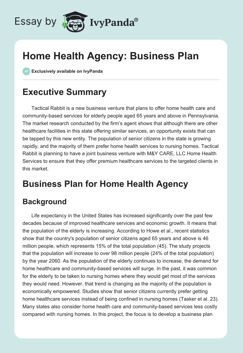 domiciliary care agency business plan examples uk